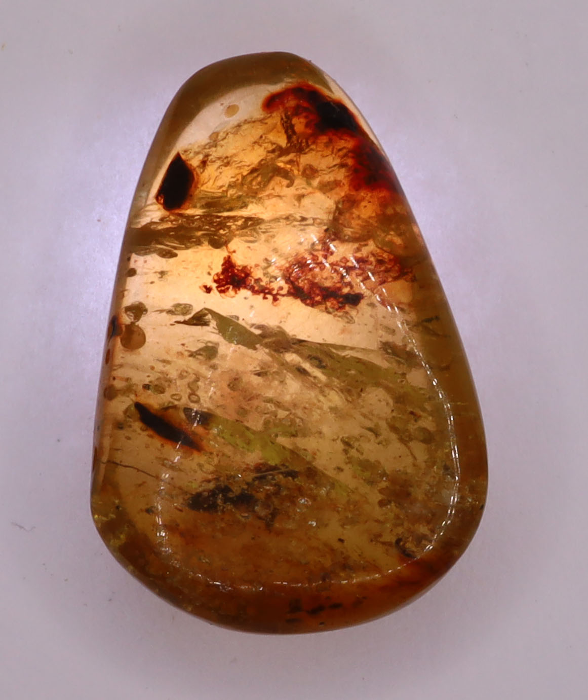 Amber, [17mm] Natural Amber, Amber Fossils, Fluorescent Amber, Amber Plant Inclusions, Fossilized Amber, Plant Included Amber, Ancient Amber, 20