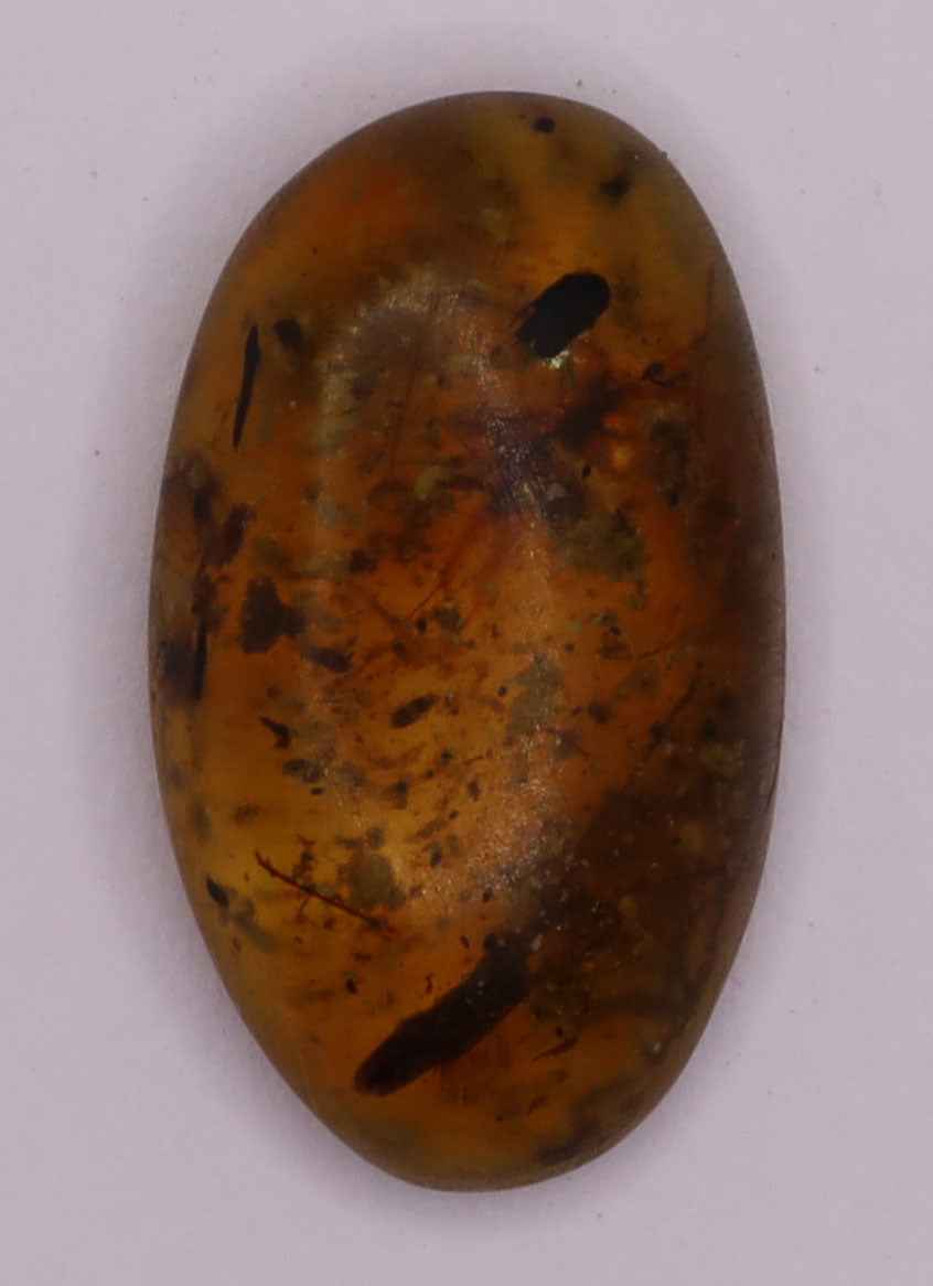 Amber, [17mm] Natural Amber, Amber Fossils, Fluorescent Amber, Amber Plant Inclusions, Fossilized Amber, Plant Included Amber, Ancient Amber, 12A