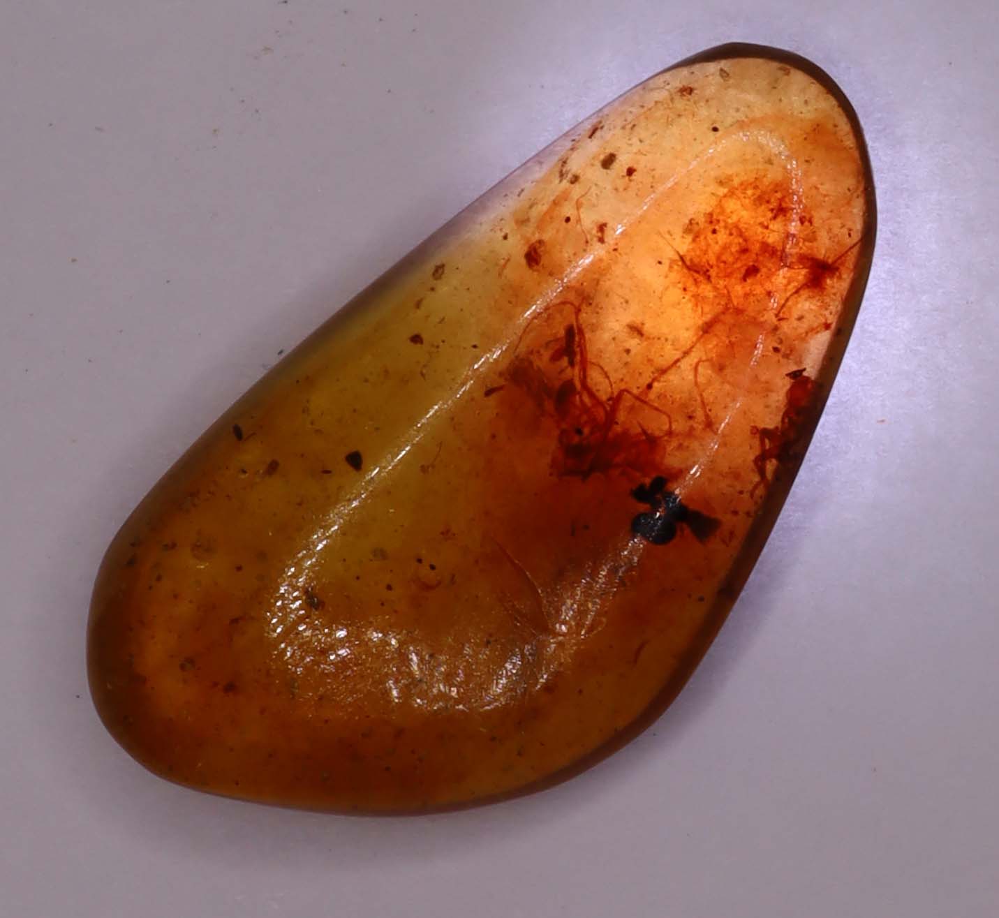 Amber, [21mm] Natural Amber, Amber Fossils, Fluorescent Amber, Amber Plant Inclusions, Fossilized Amber, Plant Included Amber, Ancient Amber, A9