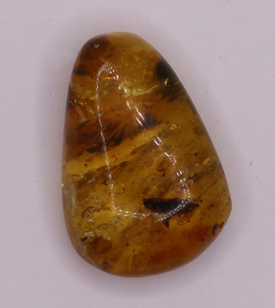 Amber, [17mm] Natural Amber, Amber Fossils, Fluorescent Amber, Amber Plant Inclusions, Fossilized Amber, Plant Included Amber, Ancient Amber, 20