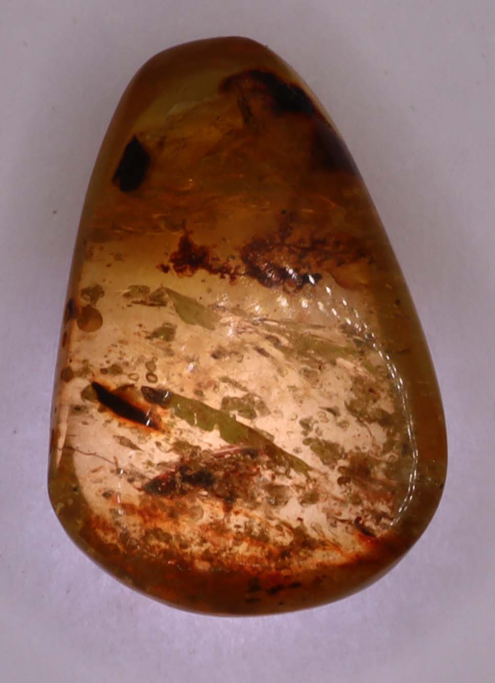 Amber, [17mm] Natural Amber, Amber Fossils, Fluorescent Amber, Amber Plant Inclusions, Fossilized Amber, Plant Included Amber, Ancient Amber, 20