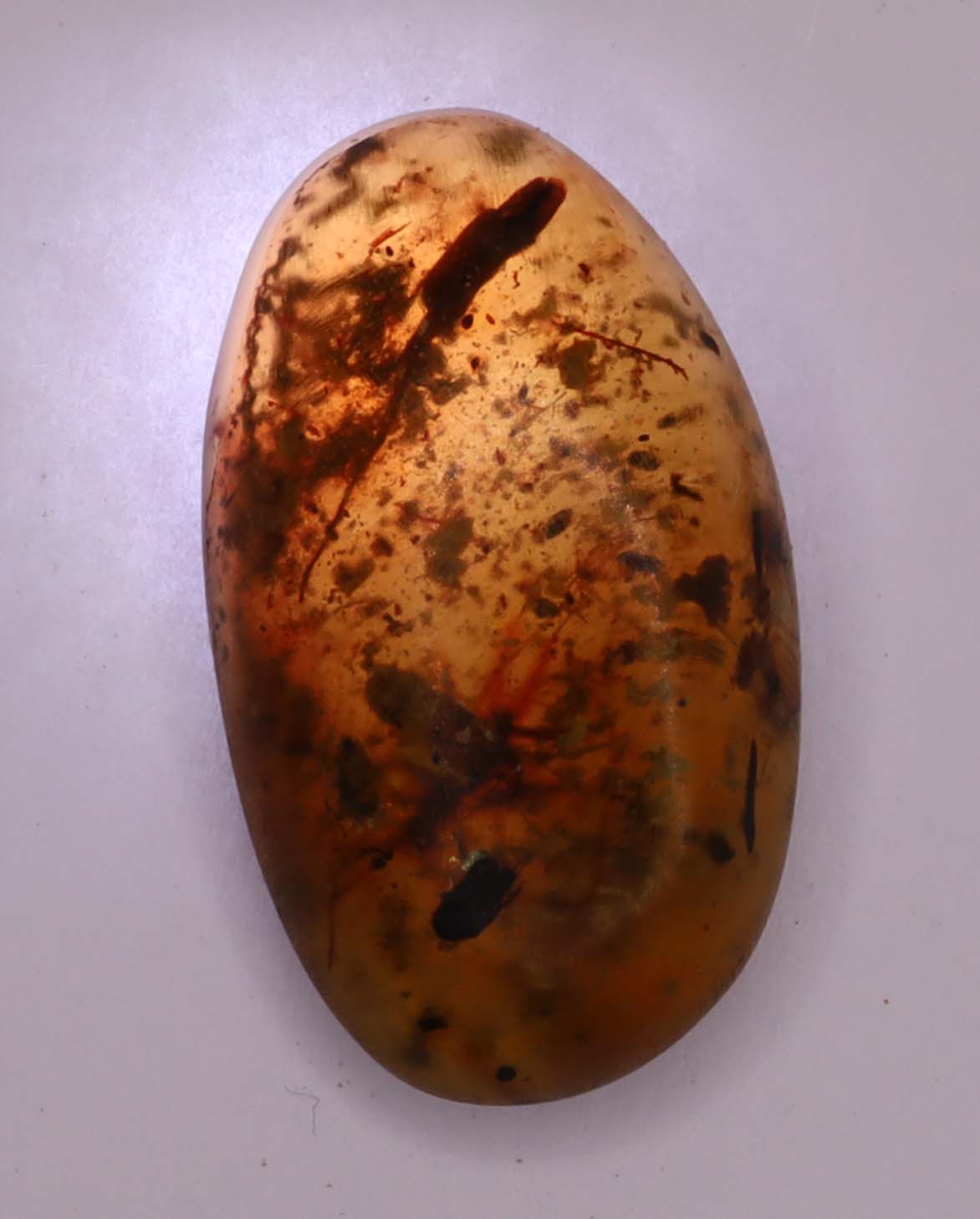 Amber, [17mm] Natural Amber, Amber Fossils, Fluorescent Amber, Amber Plant Inclusions, Fossilized Amber, Plant Included Amber, Ancient Amber, 12A