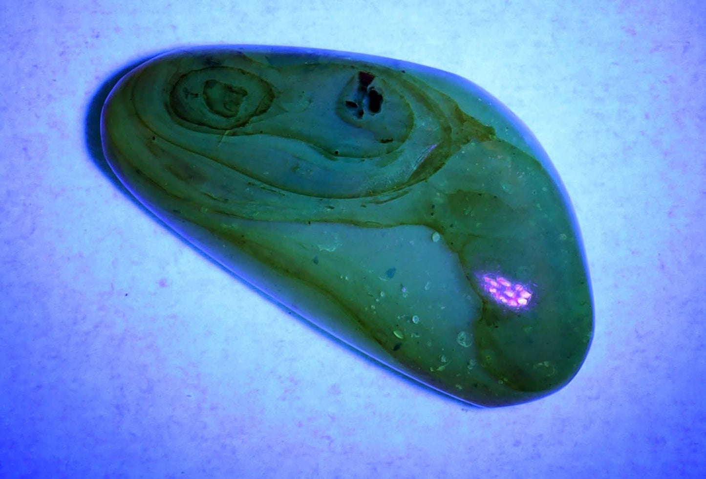 Amber, [21mm] Natural Amber, Amber Fossils, Fluorescent Amber, Amber Plant Inclusions, Fossilized Amber, Plant Included Amber, Ancient Amber, A9