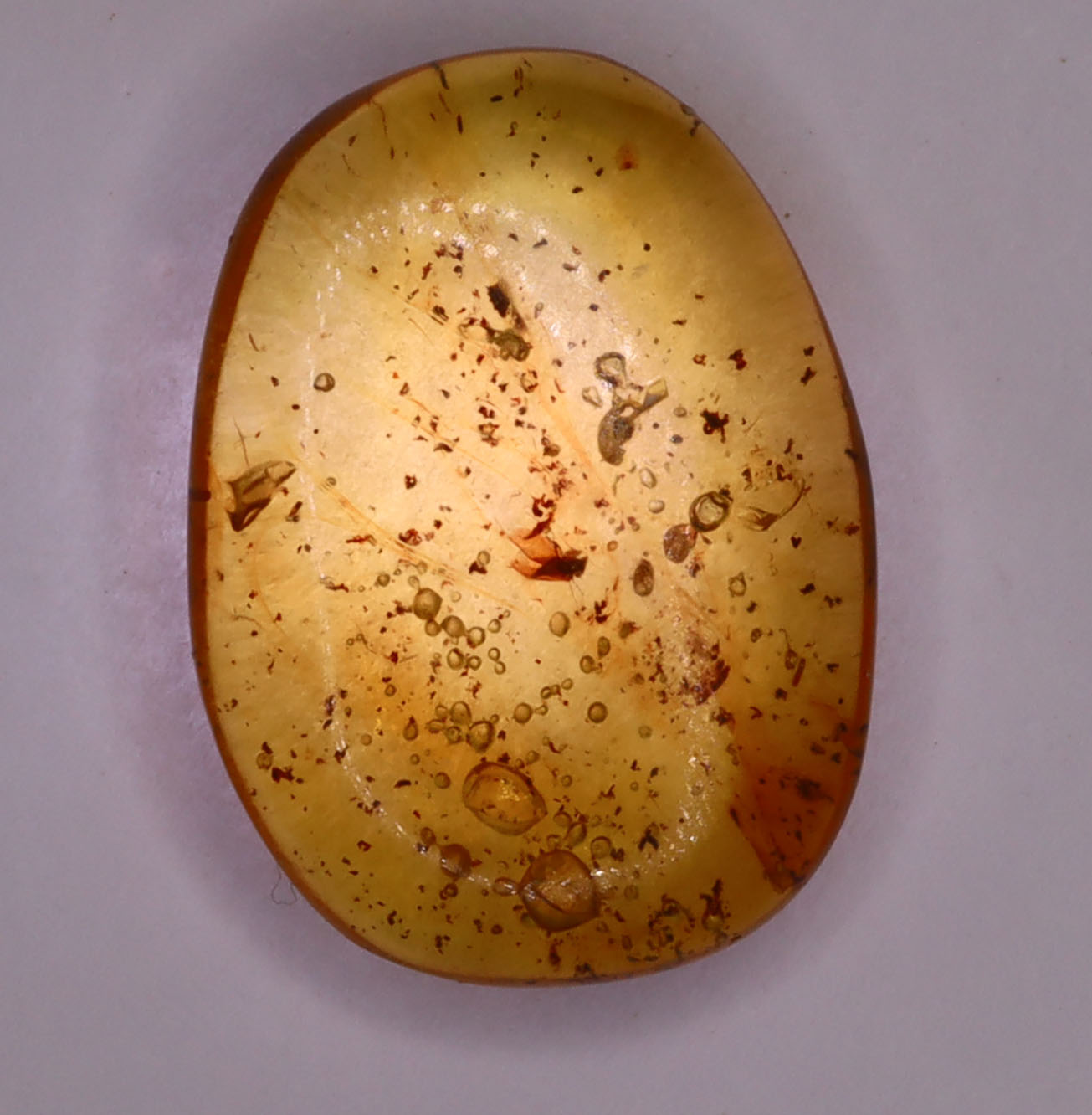 Amber, [17mm] Natural Amber, Amber Fossils, Fluorescent Amber, Amber Inclusions, Amber Bubble Inclusions, Fossilized Amber, Insect Included Amber, Ancient Amber, Insect Fossil, 2A