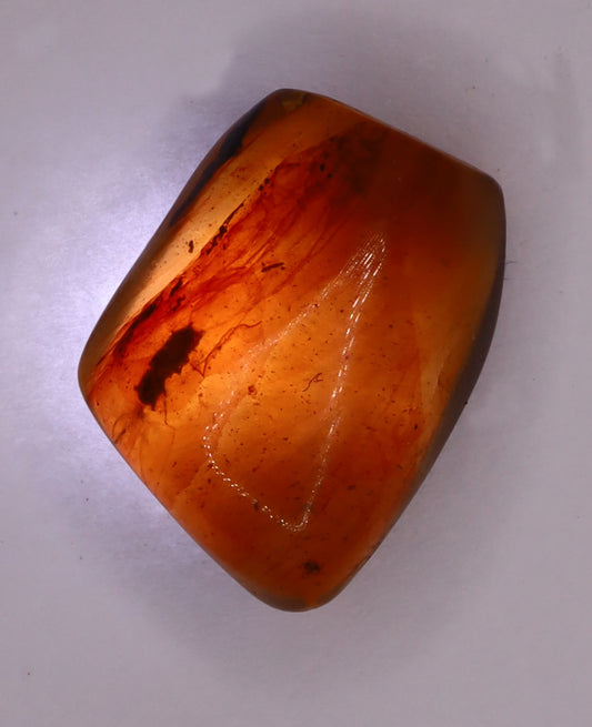 Amber, [14mm] Natural Amber, Amber Fossils, Fluorescent Amber, Amber Inclusions, Fossilized Amber, Insect Included Amber, Ancient Amber, Insect Fossil, 13