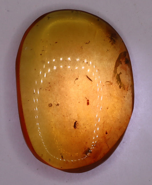 Amber, [17mm] Natural Amber, Amber Fossils, Fluorescent Amber, Amber Inclusions, Fossilized Amber, Insect Included Amber, Ancient Amber, Insect Fossil, 3A