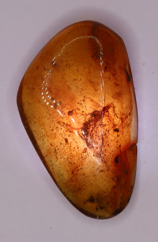 Amber, [21mm] Natural Amber, Amber Fossils, Fluorescent Amber, Amber Inclusions, Fossilized Amber, Insect Included Amber, Ancient Amber, Insect Fossil, 5A