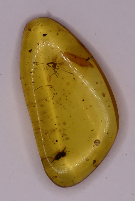Amber, [22mm] Natural Amber, Amber Fossils, Fluorescent Amber, Amber Inclusions, Fossilized Amber, Insect Included Amber, Ancient Amber, Insect Fossil, 16