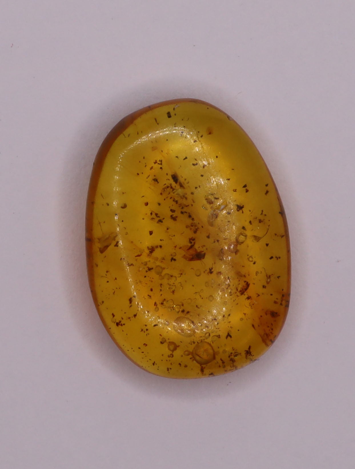 Amber, [17mm] Natural Amber, Amber Fossils, Fluorescent Amber, Amber Inclusions, Amber Bubble Inclusions, Fossilized Amber, Insect Included Amber, Ancient Amber, Insect Fossil, 2A