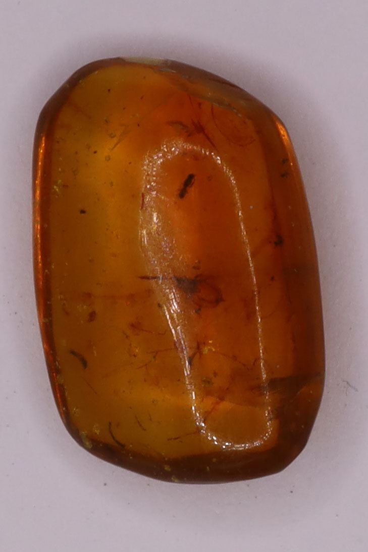 Amber, [15mm] Natural Amber, Amber Fossils, Fluorescent Amber, Amber Inclusions, Fossilized Amber, Insect Included Amber, Ancient Amber, Insect Fossil, 11A