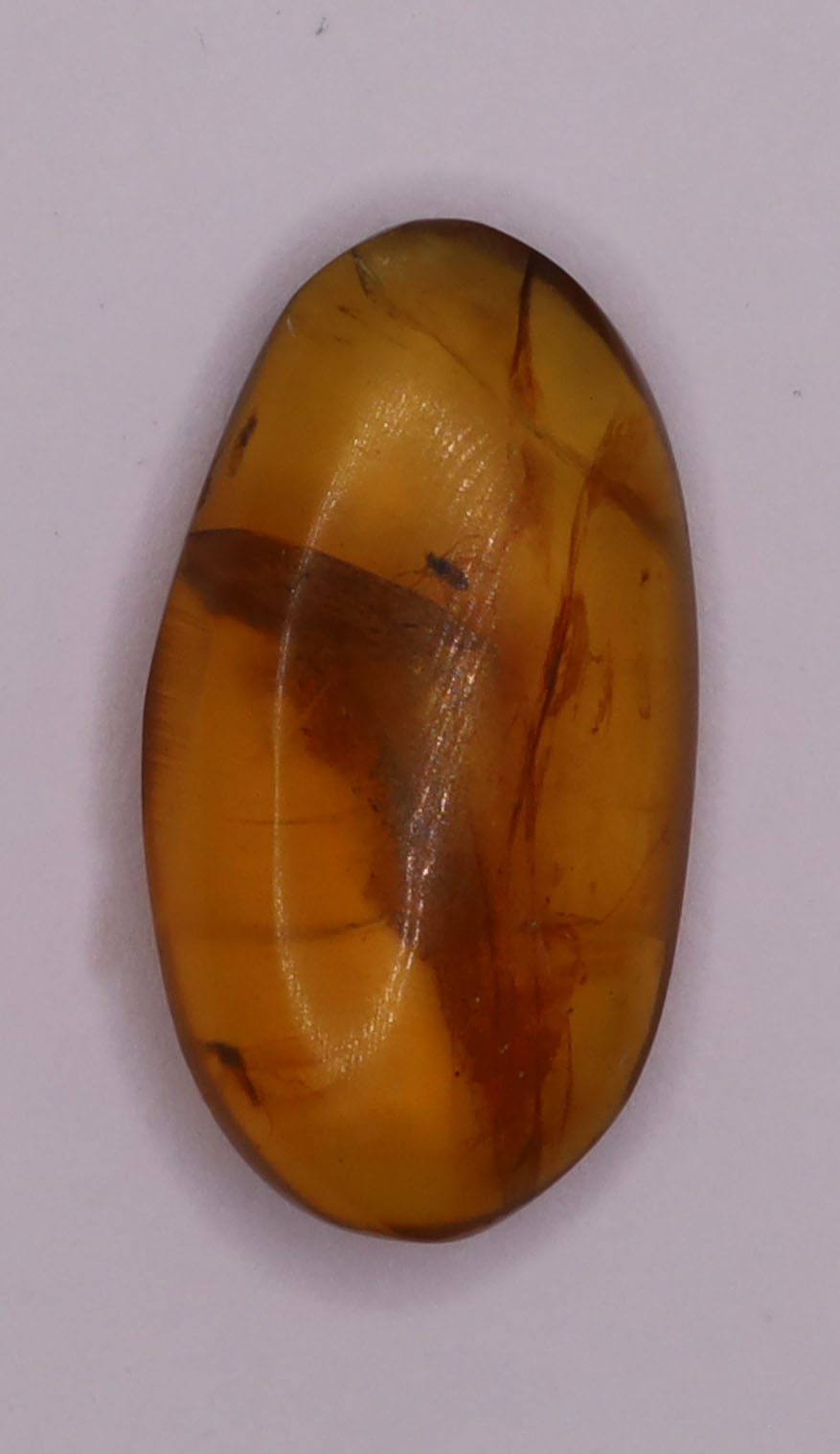 Amber, [19mm] Natural Amber, Amber Fossils, Fluorescent Amber, Amber Inclusions, Fossilized Amber, Insect Included Amber, Ancient Amber, Insect Fossil, 15