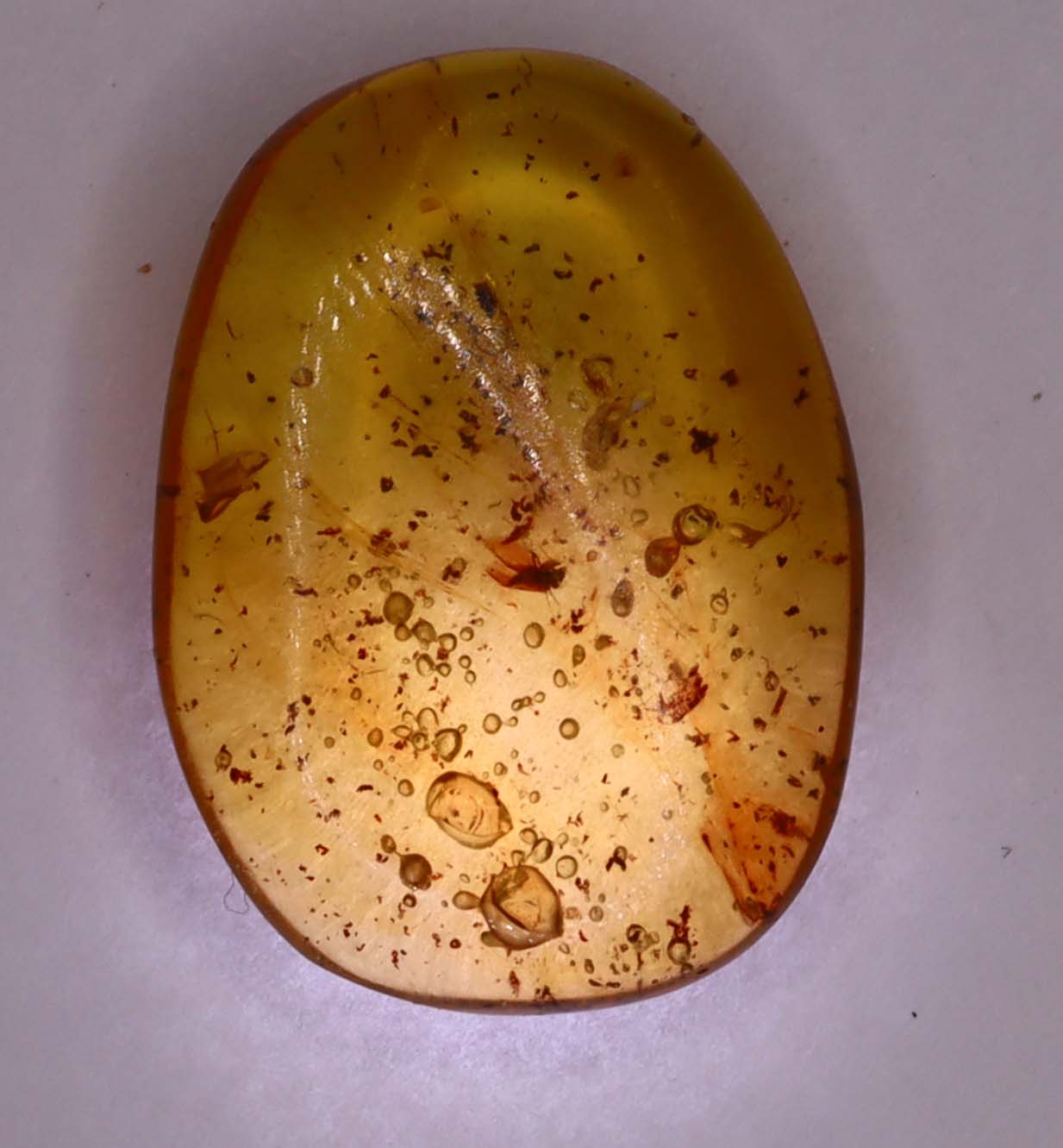 Amber, [17mm] Natural Amber, Amber Fossils, Fluorescent Amber, Amber Inclusions, Amber Bubble Inclusions, Fossilized Amber, Insect Included Amber, Ancient Amber, Insect Fossil, 2A